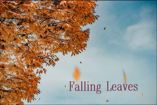 Falling Leaves