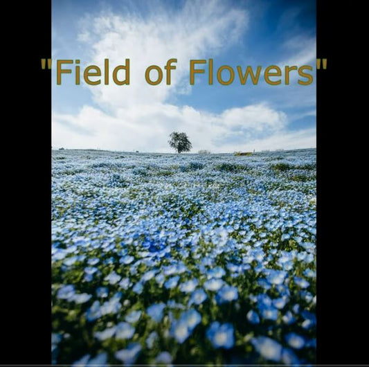 Field of Flowers