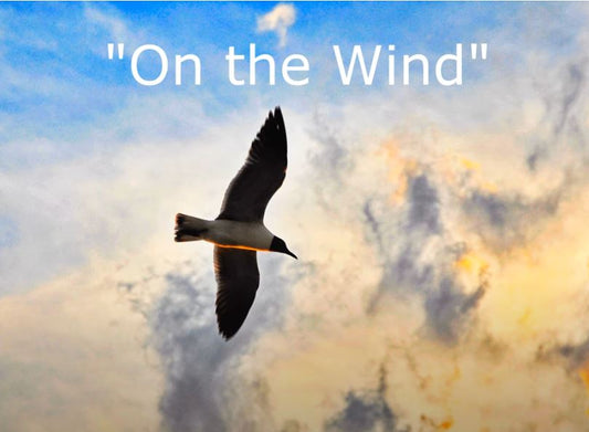 On The Wind