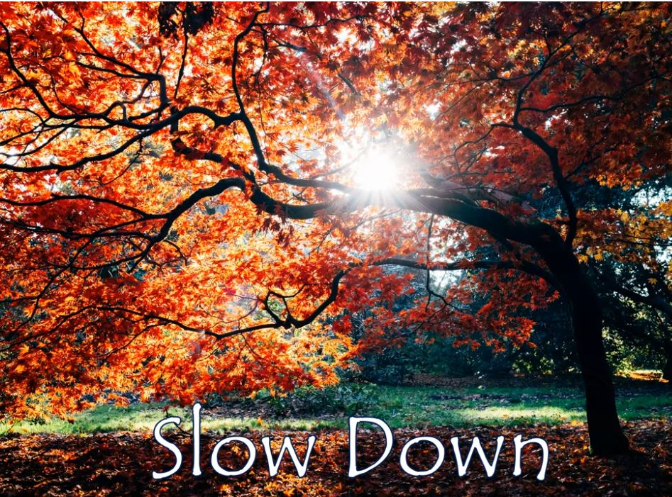 Slow Down