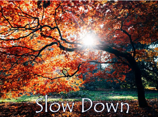 Slow Down