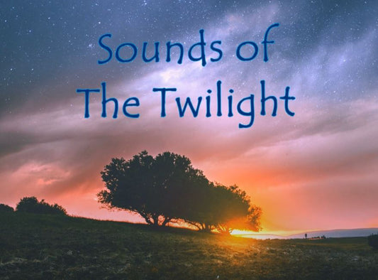 Sounds Of The Twilight